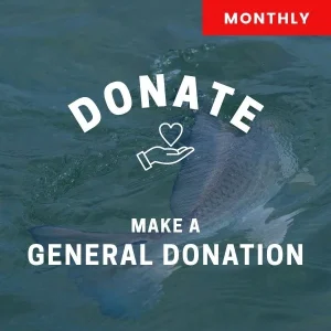 Monthly Donation to CCA NC