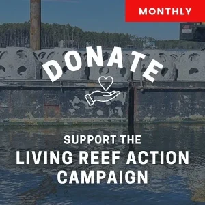 make a monthly donation to lrac