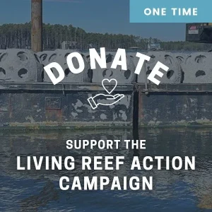 make a donation to LRAC